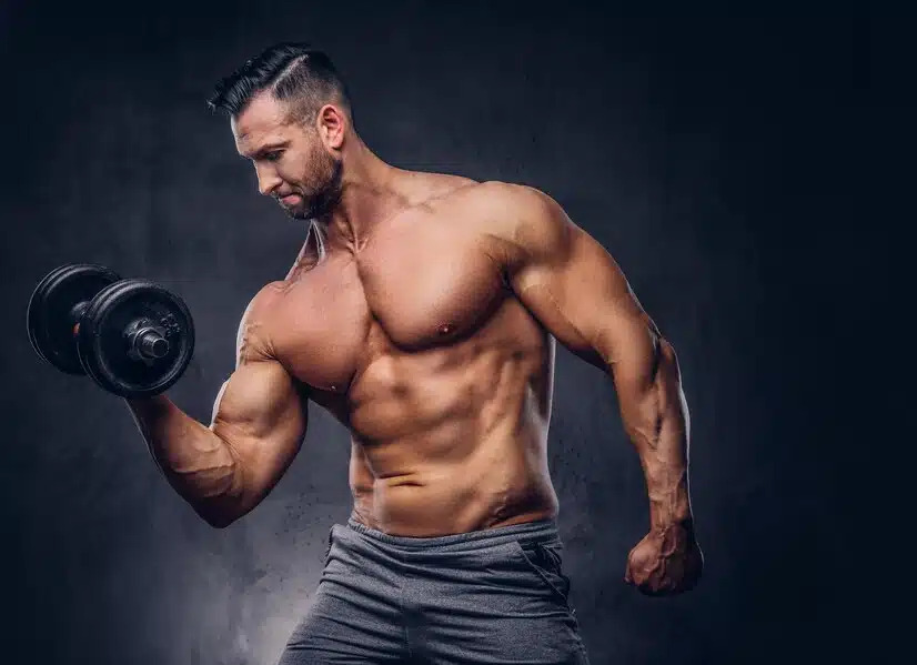 Muscle